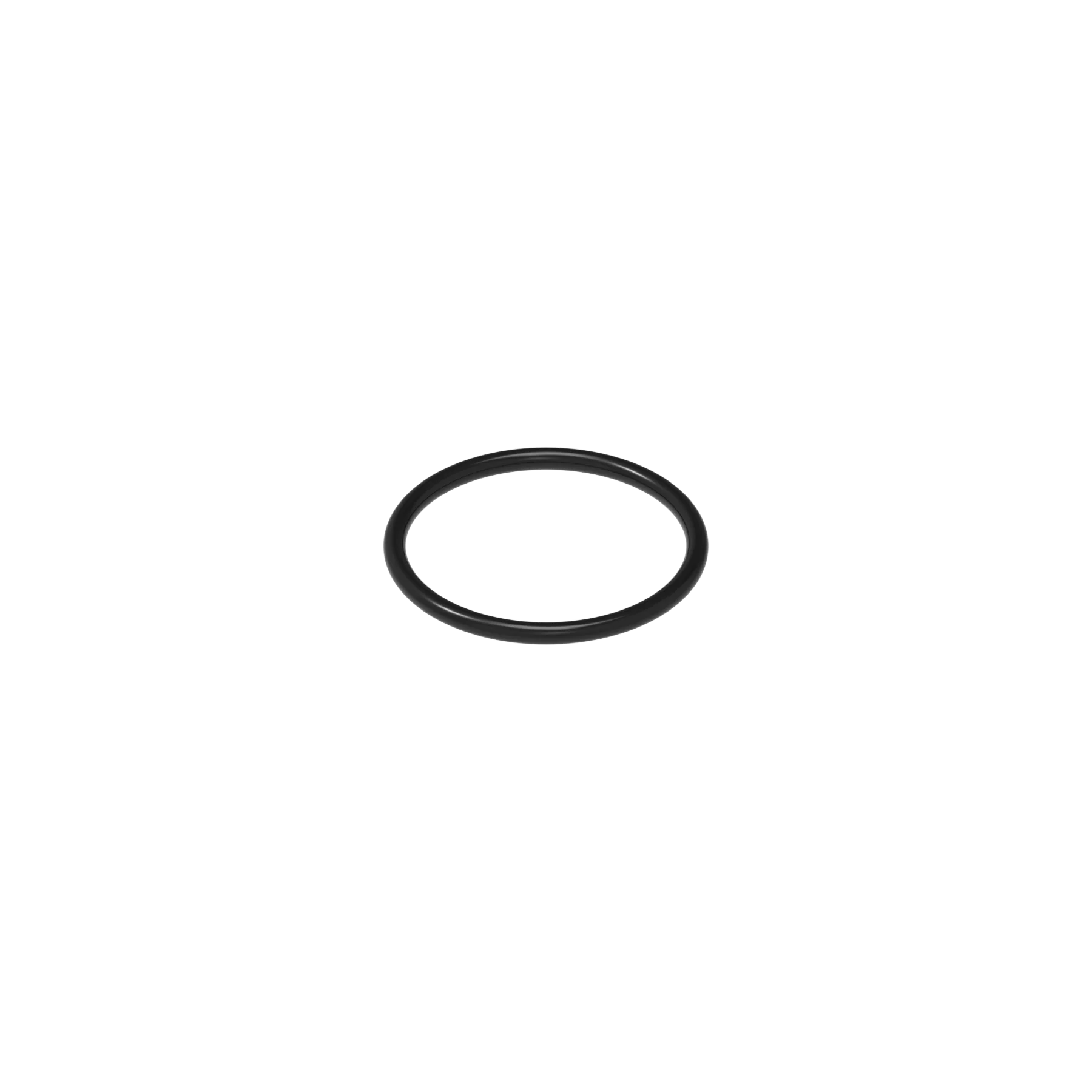 O-RING 19 BN 70